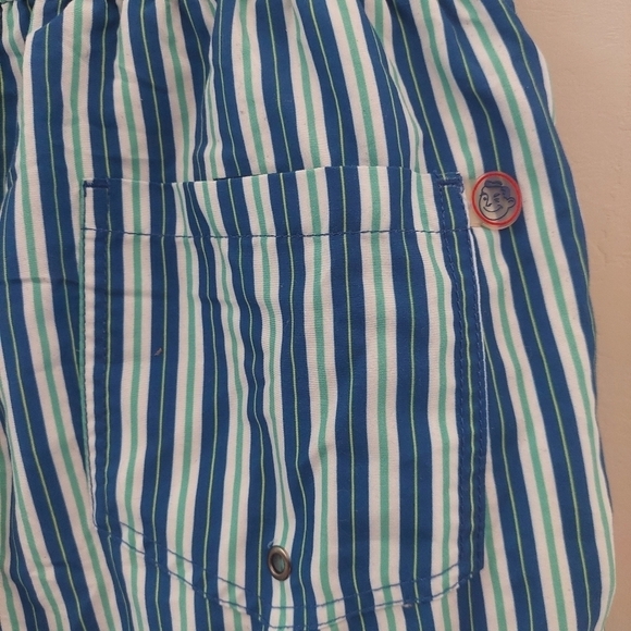 Beach Bros Blue White Green Swim Trunks Stripped Men's Medium - Picture 12 of 13